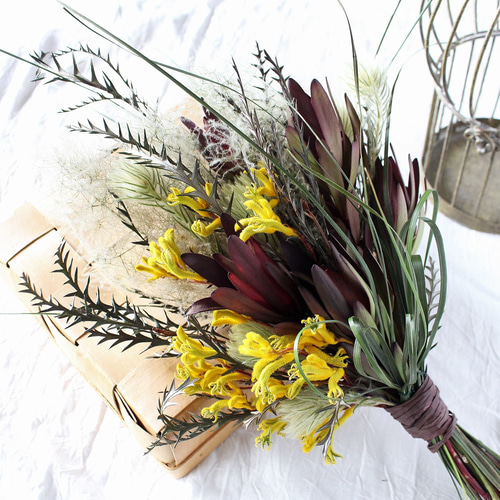 Sale!ラッピング無料❍スモークツリー・リューカ・カンガルーポーの