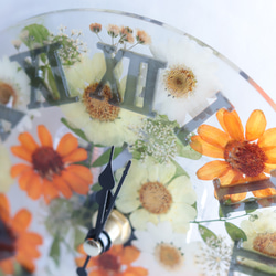 「小花を閉じ込めて」“ノースポール&レースフラワー&クローバーの野花畑”時計＊固まるハーバリウム 15枚目の画像