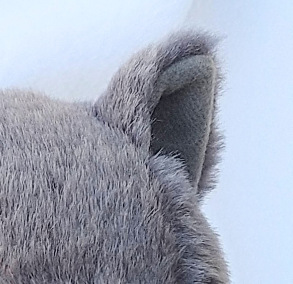 グラニャ様専用抱っこしたい灰色猫 1枚目の画像