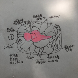  第5張的照片