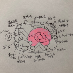  第5張的照片