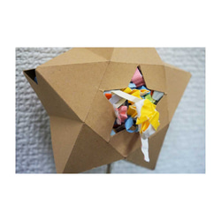 【小鳥用おもちゃ】クラフトボックス　星　いろがみ(カラー) 5枚目の画像