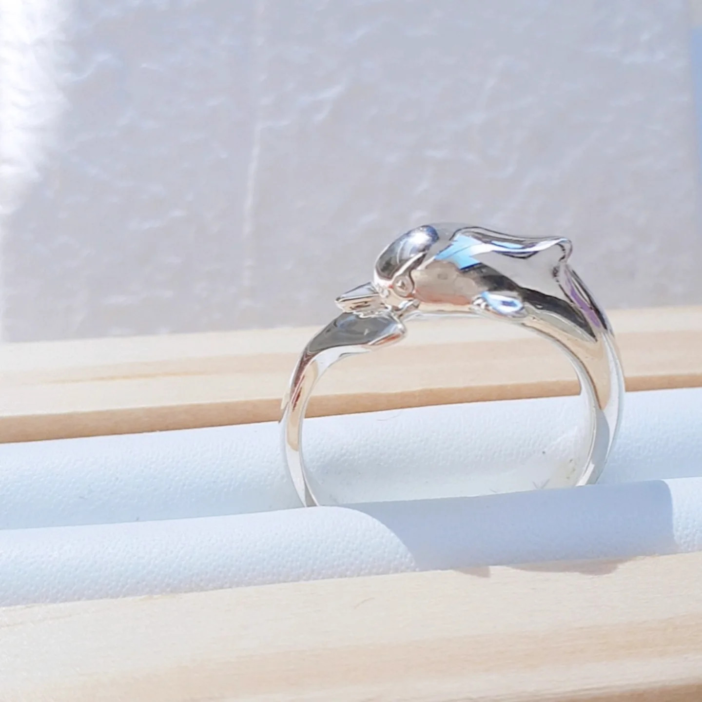 【 イルカの指輪 】イルカリング  ドルフィンリング イルカ指輪　海の生き物 イルカアクセサリー 京都アクセサリー