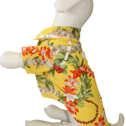 犬服 ペット服 夏 夏服 クール 前開き アロハシャツ イタグレ コーギー フレブル ミニピン 小型犬 中型犬 7枚目の画像