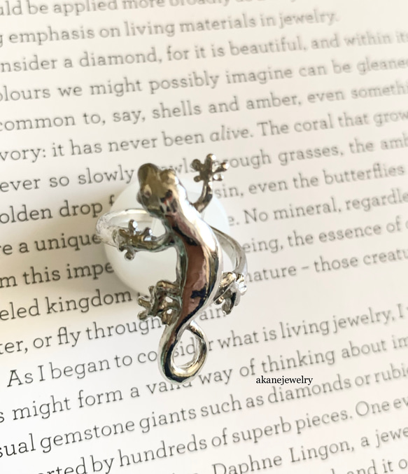 ニホンヤモリの指輪 3枚目の画像