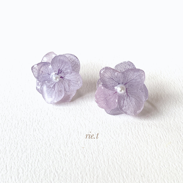 再販10【rie.t】本物の紫陽花   ラベンダー　ピアスorイヤリング 1枚目の画像