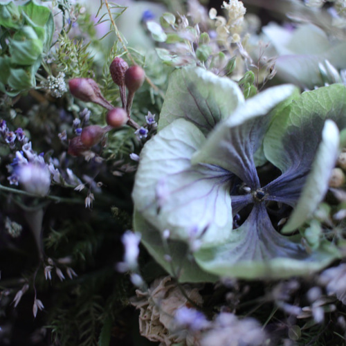 紫陽花とナズナの夏草リース✳︎ドライフラワー◎25センチ リース ...