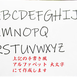 銀行印 認印 印鑑 はんこ 飾り枠 【ななめバランス】アルファベット9文字迄 黒檀・アグニ印材 12ミリ ☆送料無料☆ 6枚目の画像