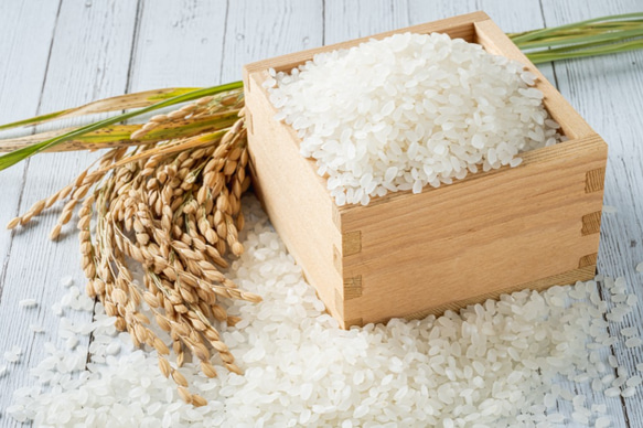 令和４年度精米★長崎県認定特別栽培米にこまる１㎏★宮下さんちのおいしいお米 2枚目の画像