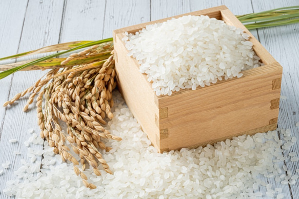 令和5年度精米★長崎県認定特別栽培米にこまる2㎏★宮下さんちのおいしいお米 2枚目の画像