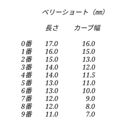 ネイルチップ　037. 2枚目の画像