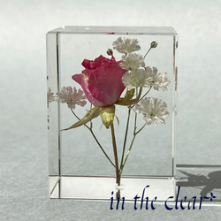 植物標本　薔薇とかすみ草　レジン　3センチ角柱 2枚目の画像