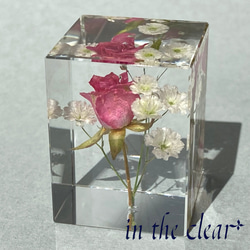 植物標本　薔薇とかすみ草　レジン　3センチ角柱 4枚目の画像
