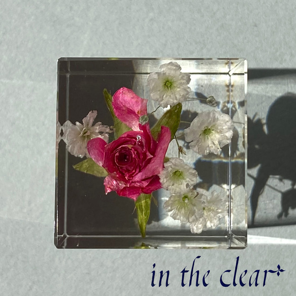 植物標本　薔薇とかすみ草　レジン　3センチ角柱 5枚目の画像