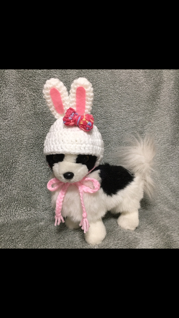 うさぎの帽子❤️小型犬用帽子・猫用帽子❤️干支帽子 1枚目の画像