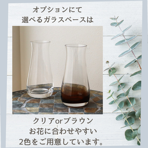 2026年ご予約販売ページ】紫陽花アナベル3本 ドライフラワー 花材