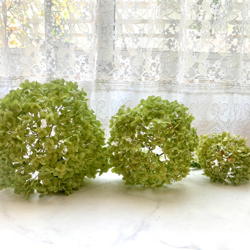 送料無料】紫陽花アナベル3本 ドライフラワー 花材 スワッグ