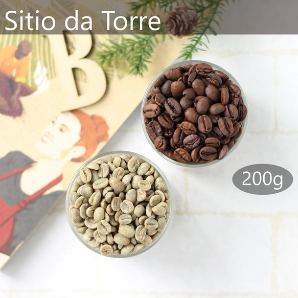 【在庫少】ブラジル 200g"優しい" シティオ・ダ・トーレ  ナチュラル 丁寧 コーヒー イエローブルボン 1枚目の画像