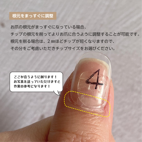 Amazon.co.jp: 【3種セット】 滝川 STモデルハンド用 JNEC認定