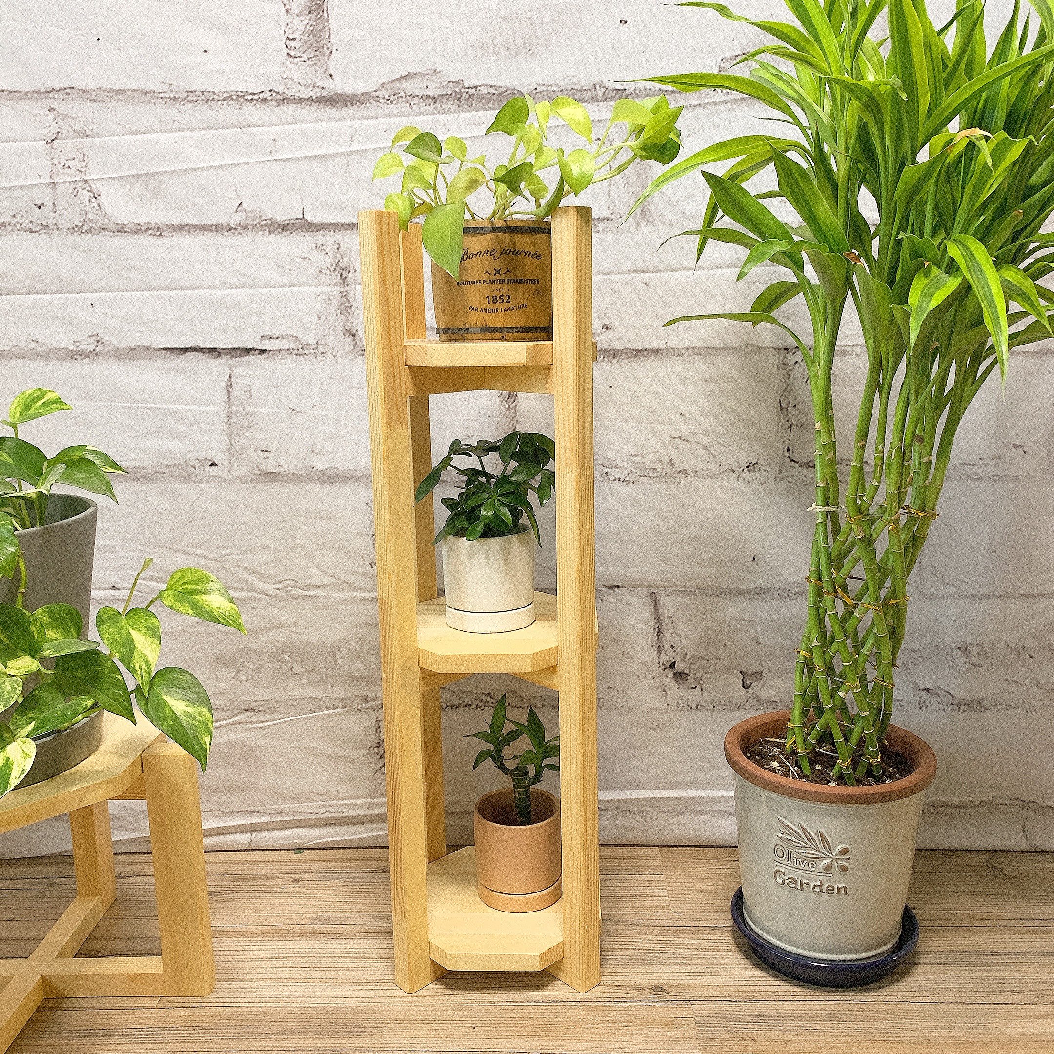 観葉植物 テーブル ディスプレイ プランタースタンド