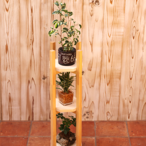 3段プランタースタンド内径200/グリーンスタンド/観葉植物棚