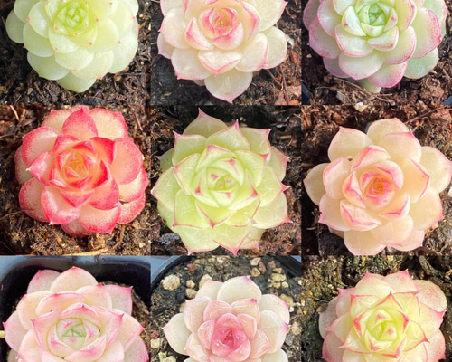 496eafabd43a5651c6ee6038358f05