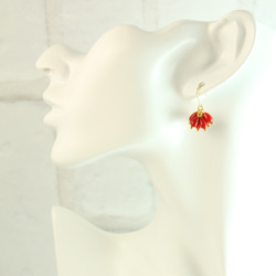 【お得なセット】レッドコーラル（染珊瑚）耳飾りとネックレス 3枚目の画像