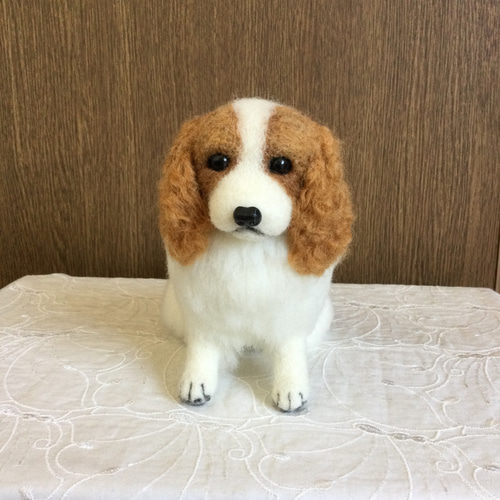 羊毛フェルト ハンドメイド　キャバリア 羊毛フェルト、キャバリアストラップ、ハンドメイド、ネーム入り