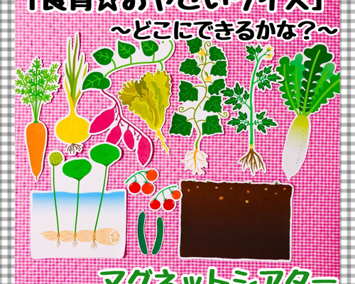 【未開封品】子ども 英会話教室 Nutrition 栄養 食育 知育 マグネット 未開封品】子ども 英会話教室 Nutrition 栄養 食育 知育