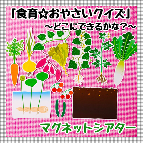 【未開封品】子ども 英会話教室 Nutrition 栄養 食育 知育 マグネット 未開封品】子ども 英会話教室 Nutrition 栄養 食育 知育