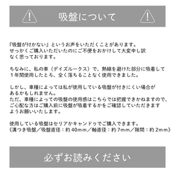 【送料無料】★文字が選べる★　さくらんぼ　ベビーインカー　キッズインカー　【吸盤タイプ】 11枚目の画像