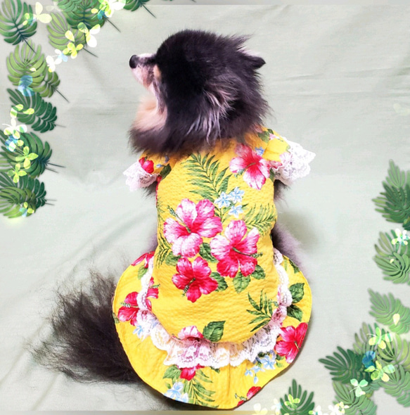 ハンドメイド犬服 【カラフルドット・お袖フリル付きワンピース】 犬の