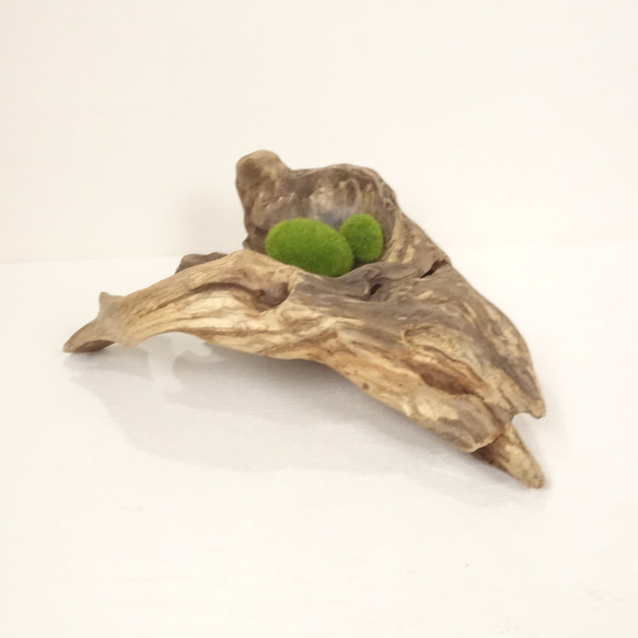 流木 自然な形状 ダークブラウン