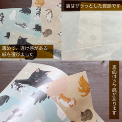 【 送料無料 】のんびり猫 / デザインペーパー 12枚セット( 3種×4枚づつ) 5枚目の画像