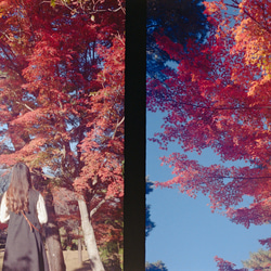 【ヴィンテージ】レトロフィルムカメラ オリンパス PEN EE-3 Natural 11枚目の画像