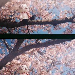 【ヴィンテージ】レトロフィルムカメラ オリンパス PEN EE-3 Natural 19枚目の画像