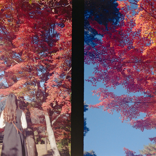 ヴィンテージ】レトロフィルムカメラ オリンパス PEN EE-2 Totte Me