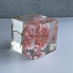本物の薔薇のペーパーウエイト/スイートドリーム/癒しのインテリア小物/固まるハーバリウム/植物標本/5cm158g 5枚目の画像