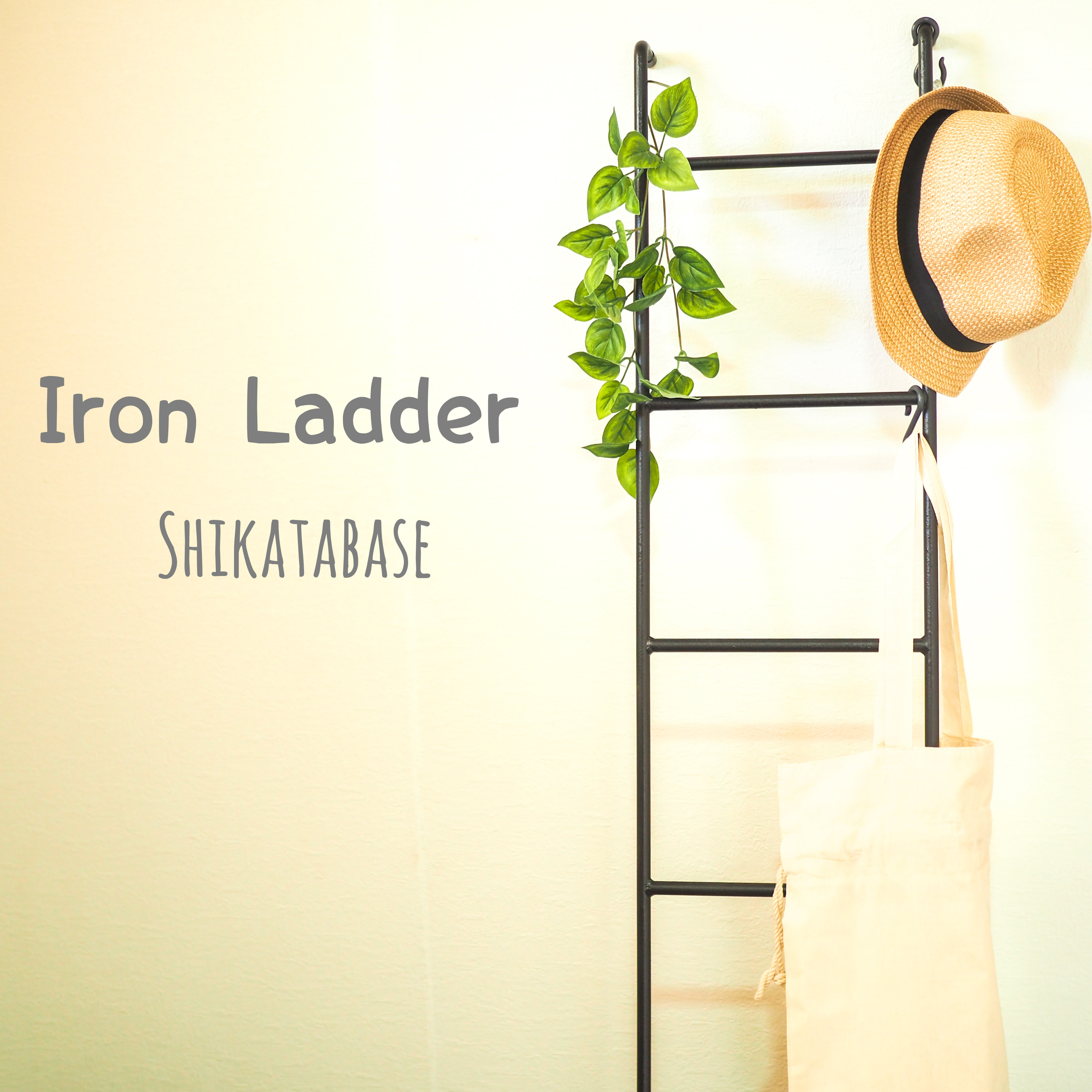site: imgsrc.ru lucky  Shikatabase】アイアンラダーラック iron ladder アイアン...