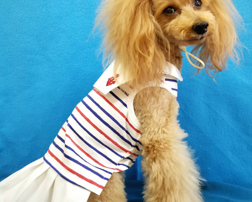 c48b2c4377c5142b0b186746604f38