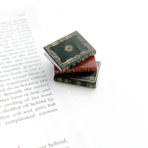 ミニチュア 本革装丁 洋書④ ハード本 フランス洋書 ボタニカル