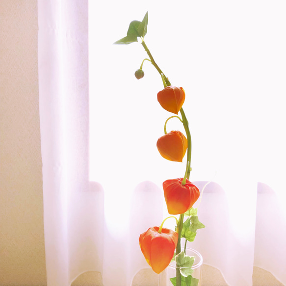 本物そっくり！  夏の風物詩 「ほおづき」のフェイクウォーターの一輪挿しアレンジ 4枚目の画像