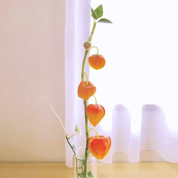本物そっくり！  夏の風物詩 「ほおづき」のフェイクウォーターの一輪挿しアレンジ 3枚目の画像