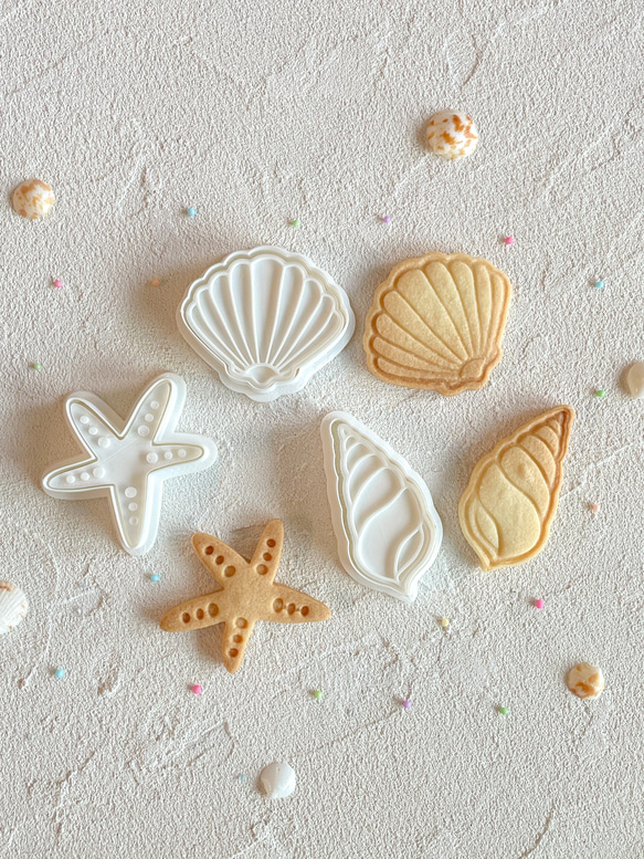 【貝殻】〈Sサイズ〉シェル ミニ クッキー型3点セット/かわいい/プレゼント/ギフト/手作り/シェル/貝がら/海/貝がら 1枚目の画像