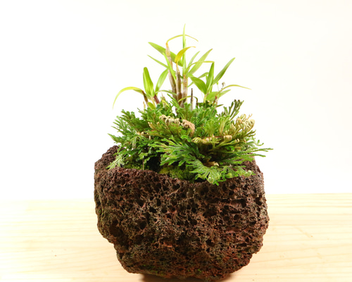 02156f6d8cf503aa7641d71aa664e0