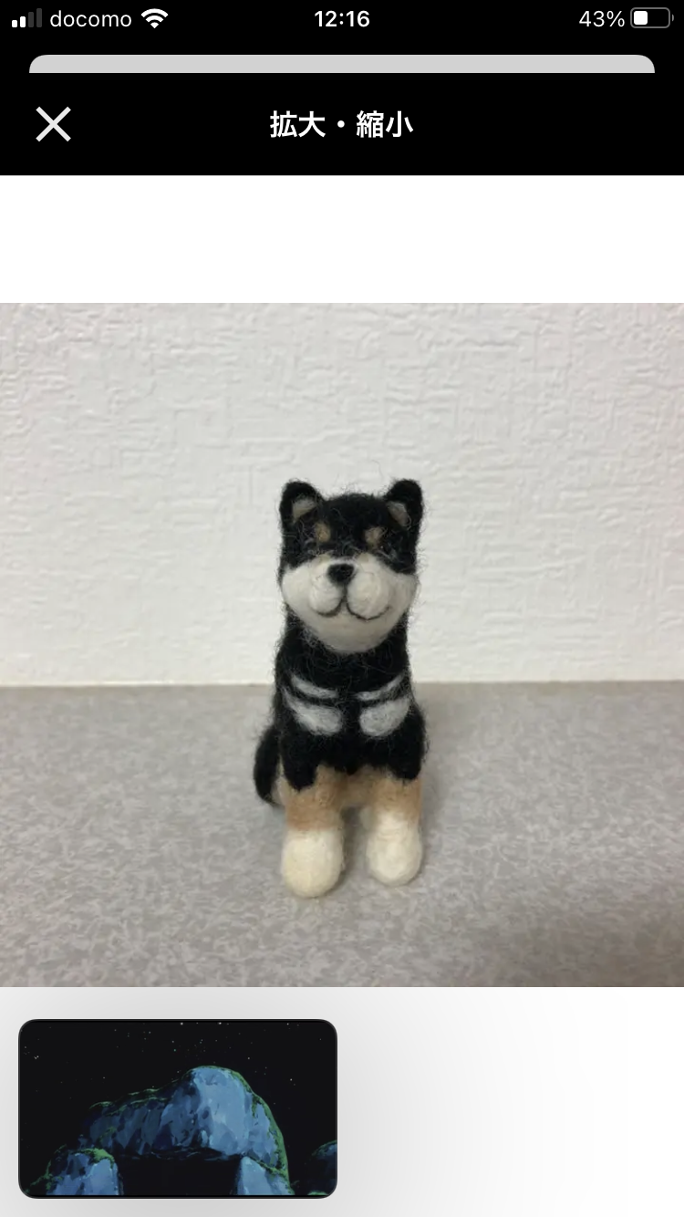 羊毛フェルト 柴犬 黒柴 羊毛フェルト orange 通販 14229589｜Creema