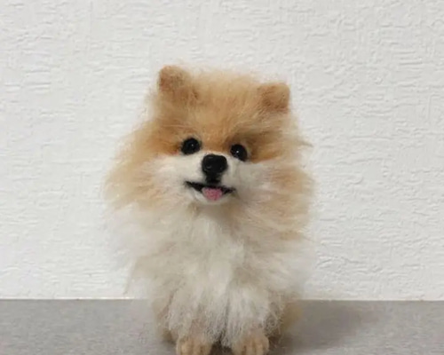 羊毛フェルト ポメラニアン 犬 羊毛フェルト orange 通販