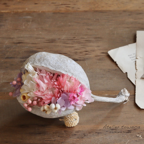 ブッダナッツアレンジ☆幸せを呼ぶ木の実 横向き ドライフラワー