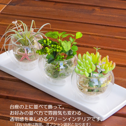 ダブルウオールグラスの海の砂浜＆グリーンの癒されプランツ ～ 透明感