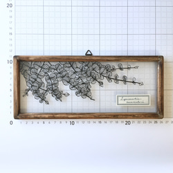 【植物標本シリーズ】リシマキア・ヌンムラリアの切り絵フレーム 3枚目の画像